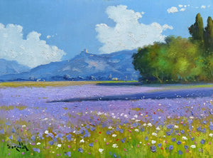 Tuscany painting by Andrea Borella Italian painter "Lavender blooming" Toscana landscape