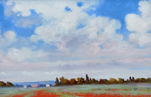 Tuscany painting by Andrea Borella painter "Countryside in May - poppies field" original landscape artwork Italy