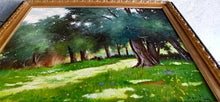 Load image into Gallery viewer, Italian painting by Andrea Borella painter &quot;Light among the olive trees&quot; landscape original artwork Italy
