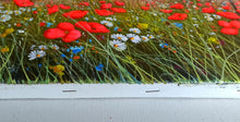 Load image into Gallery viewer, Tuscany painting, landscape by Raimondo Pacini, &quot;Field of flowers under vineyard&quot; Toscana painting,countryside
