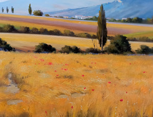 Tuscany painting,Italian painter Andrea Borella "Summer countryside - June" original oil landscape artwork Italy