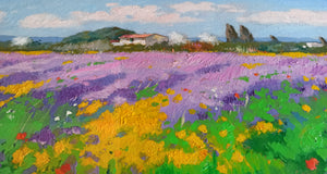 Tuscany painting landscape by Andrea Borella painter "Bloomed field" original impressionist artwork Italy