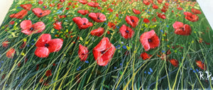 Tuscany painting landscape by Raimondo Pacini "Red wildflowers" Toscana artwork impressionist oil canvas