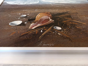Italian painting "Mareggiata 50x50 cm" master painter Agostino Cancogni 1950 swell beach shell sea original oil canvas