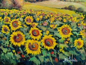 Italian Tuscany painting sunflowers carpet landscape oil artwork Bruno Chirici 1947 wall home decor wall Italy